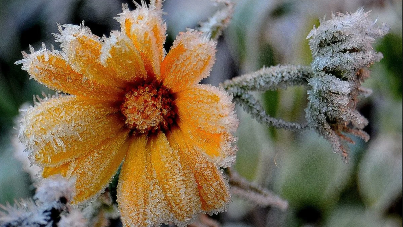 У Львові зафіксували новий температурний рекорд