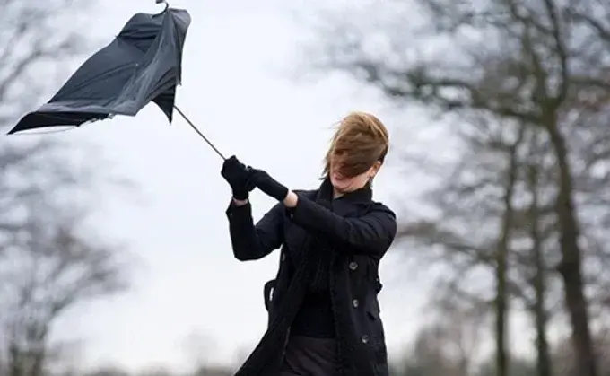 Негода на Львівщині: без світла залишилися 85 населених пунктів