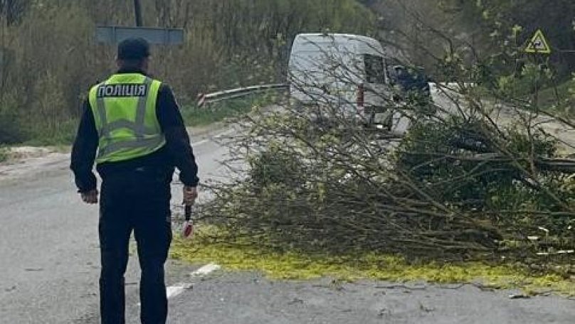 Через падіння дерева на вантажівку госпіталізували 46-річного водія