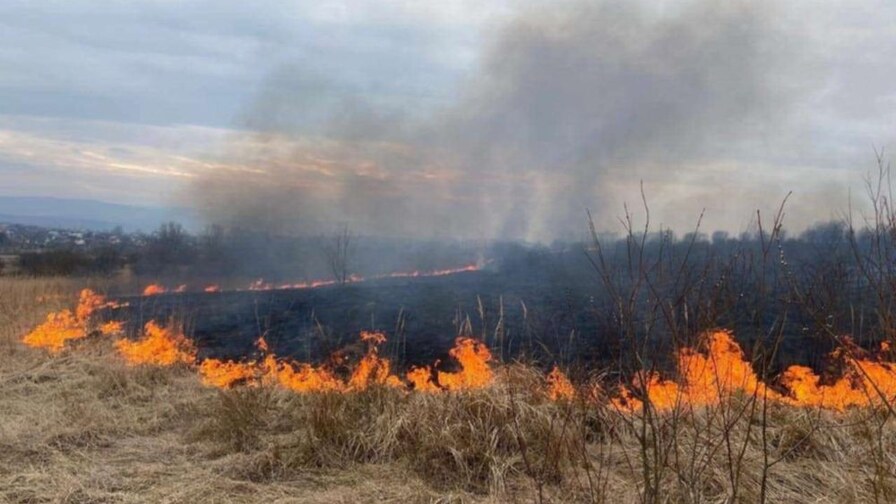 На 22−24 травня синоптики прогнозують у Львові високу пожежну небезпеку