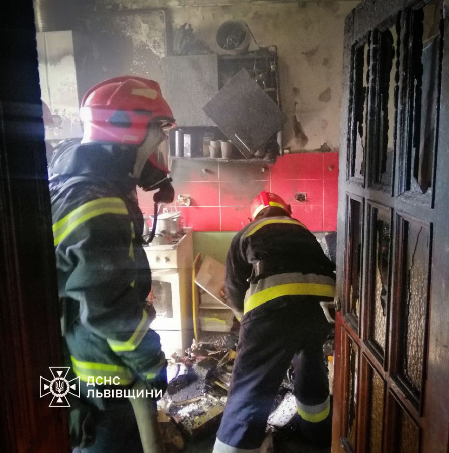 У Львові на пожежі в будинку врятовано собаку